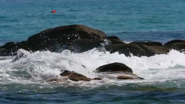 Waves Crash Rock Sea Macro — Stock Video