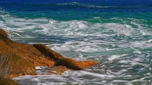 Las Olas Chocan Contra Una Roca Mar Macro — Vídeo de stock