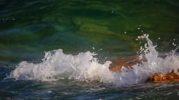 Las Olas Chocan Contra Una Roca Mar Macro — Vídeo de stock