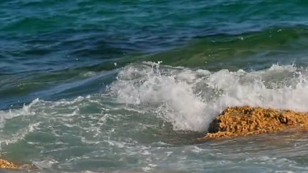 Las Olas Chocan Contra Una Roca Mar Macro — Vídeo de stock