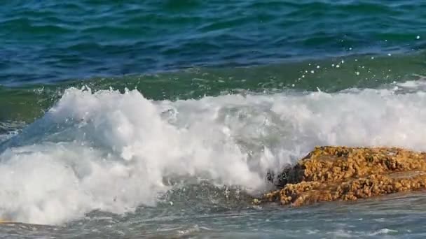Κύματα Που Σκάνε Πάνω Ένα Βράχο Στη Θάλασσα Μακροεντολή — Αρχείο Βίντεο