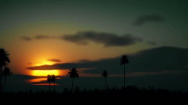 gündoğumu palm zaman atlamalı 4k