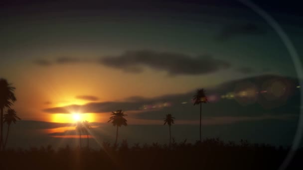 Time Lapse Sunrise Palm — Video