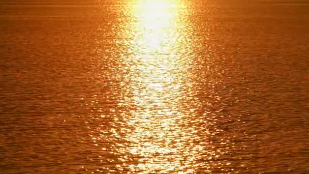 金色日出在海 — 图库视频影像