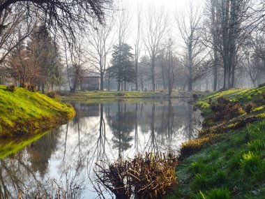 sonbahar park orman ağacı