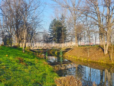 sonbahar park orman ağacı
