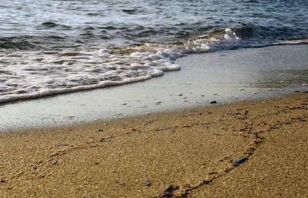 Plaj dalga güzellik deniz 