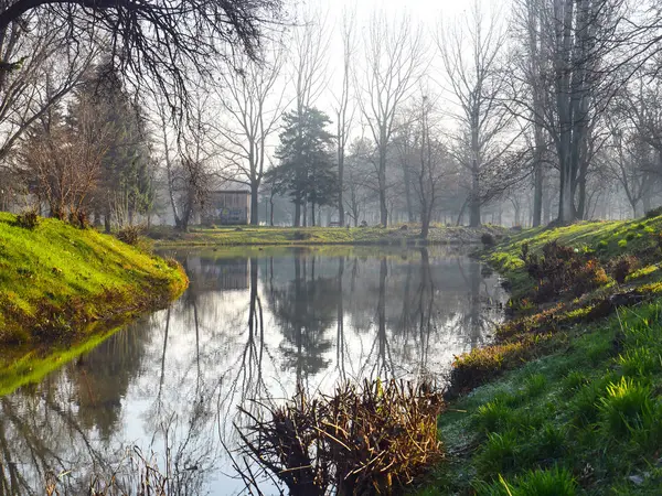 sonbahar park orman ağacı