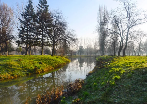 sonbahar park orman ağacı