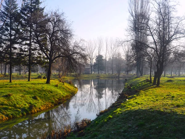 sonbahar park orman ağacı