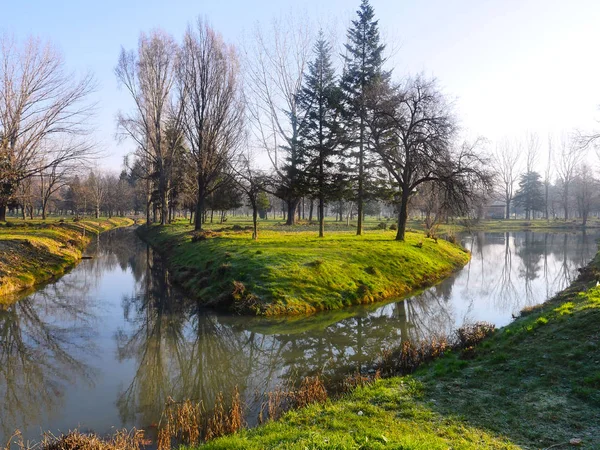 sonbahar park orman ağacı