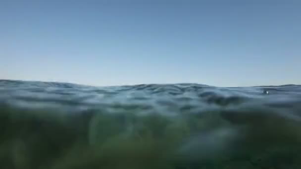 一半在水4K — 图库视频影像