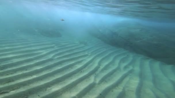 Подводное Плавание Водой — стоковое видео