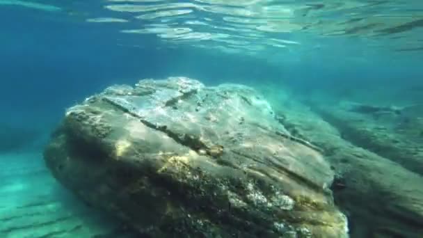 Buceo Submarino Peces — Vídeo de stock