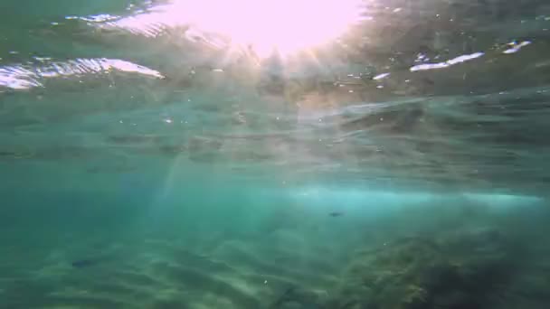 Sonnenstrahl Unter Wasser — Stockvideo