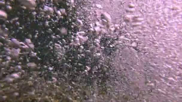 Bubble Water — Stockvideo