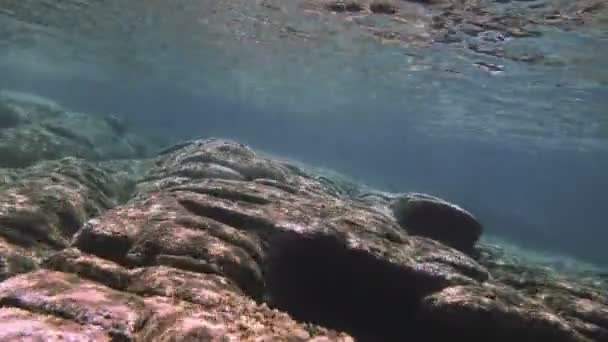 Buceo Bajo Agua — Vídeo de stock