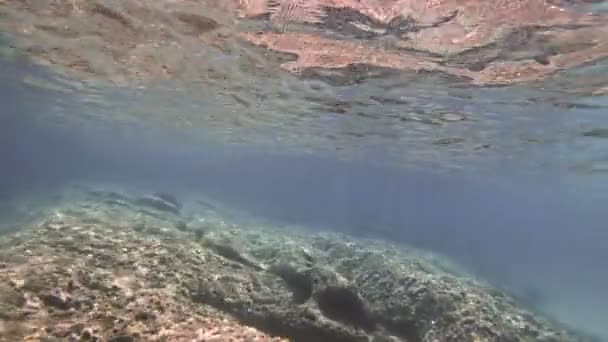 Buceo Bajo Agua — Vídeos de Stock