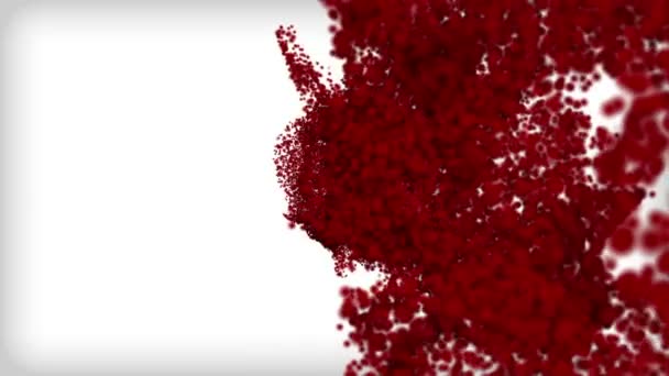 Macroastratto Delle Cellule Del Sangue — Video Stock