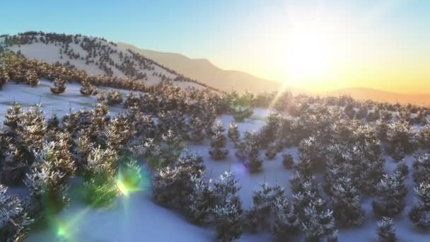 冬に飛ぶ山の夕焼け4K — ストック動画