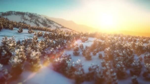 Летать Зимний Горный Закат — стоковое видео