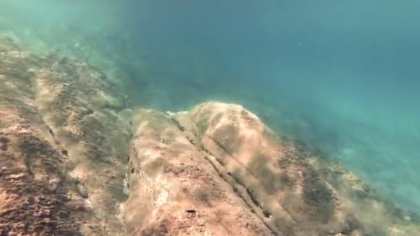 Buceo Bajo Agua — Vídeos de Stock