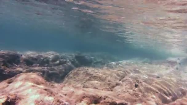 Buceo Bajo Agua — Vídeos de Stock