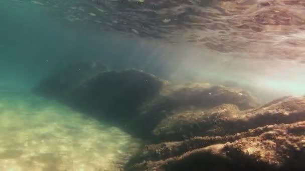 Rayo Sol Bajo Agua — Vídeos de Stock