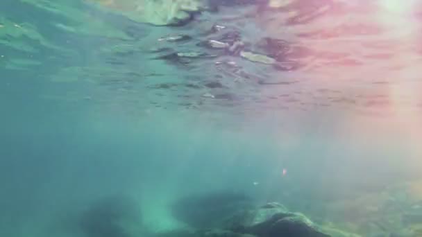 太陽光線水中 — ストック動画