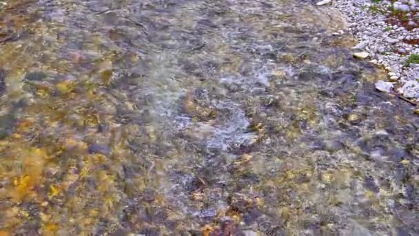 Bergachtige Snelheid Clear River Slow Motion — Stockvideo