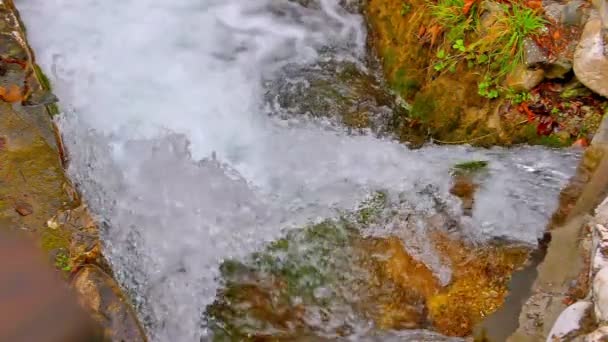 Prędkość Górskich Jasne Rzeka Zwolnionym Tempie — Wideo stockowe