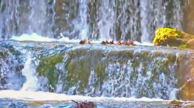 dağlık şelale yavaş hareket manzara