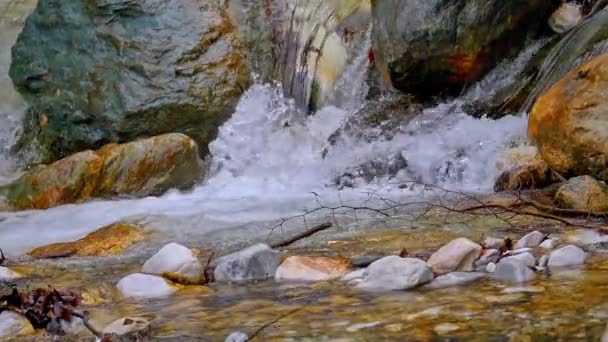 Velocidad Montañosa Río Claro Cámara Lenta — Vídeo de stock