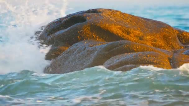 Vagues Écrasent Sur Rocher Dans Mer — Video