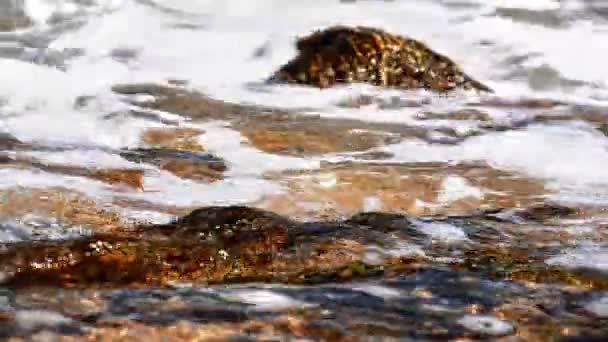 Fale Katastrofy Skale Morzu — Wideo stockowe