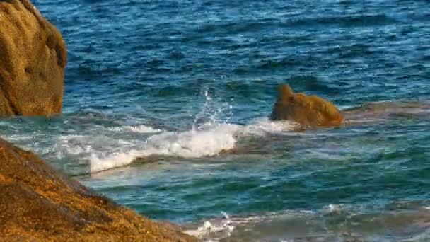 Κύματα Συντριβή Ένα Βράχο Στη Θάλασσα — Αρχείο Βίντεο