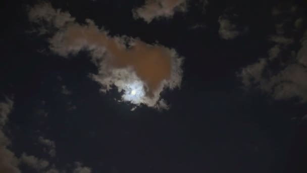 Nuvole Notte Luna Piena — Video Stock