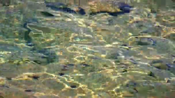 eau claire pure mer 4k 