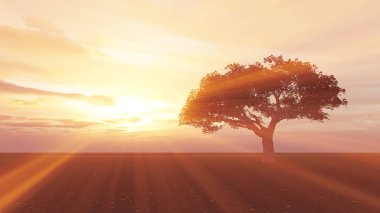 çayır günbatımında ağaç