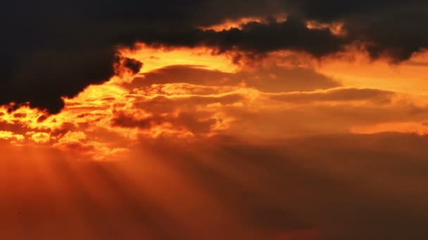 Lapso Tiempo Puesta Sol Oro — Vídeo de stock