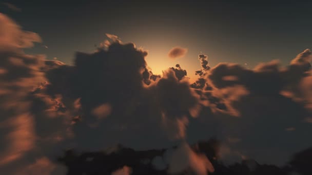 Flyga Över Molnen Sunset — Stockvideo