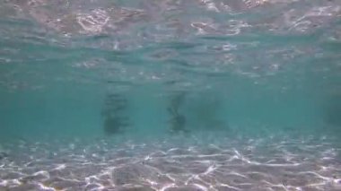 Kız tanga sualtı 4 k oyun