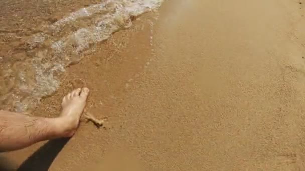 Camminare Sulla Spiaggia Gambe Uomo — Video Stock