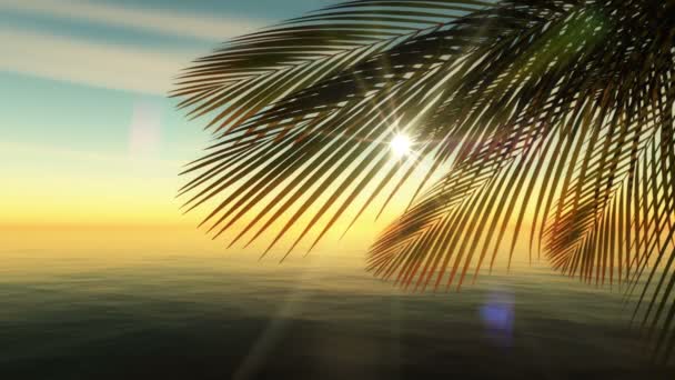 Summer Time Palm Tropic Sea — Stock Video