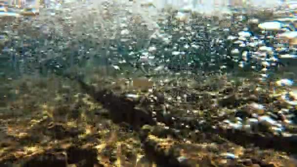 Bublina Modrém Moři — Stock video
