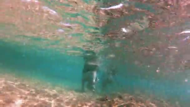 Дівчата Стрінгах Грають Під Водою — стокове відео