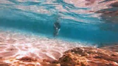 Kız tanga sualtı 4 k oyun