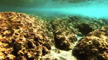 denizde tüplü dalış sualtı 4k