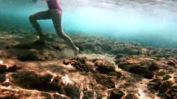 Buceo Submarino Peces — Vídeo de stock