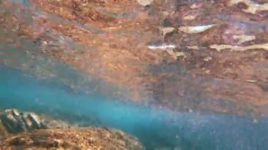 güneş ışını sualtı deniz 4k